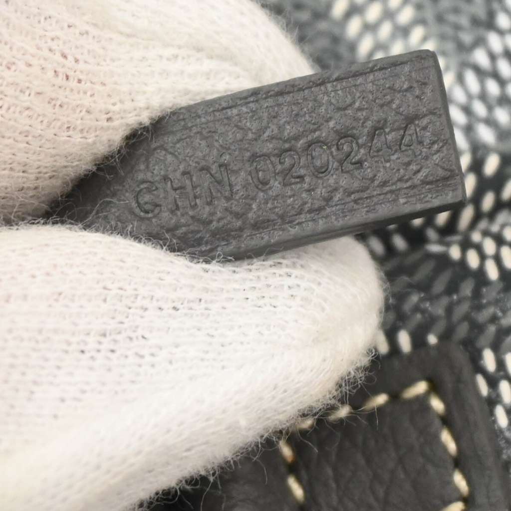 Goyard Saint Louis Tote Other Canvas Good condition - Box View