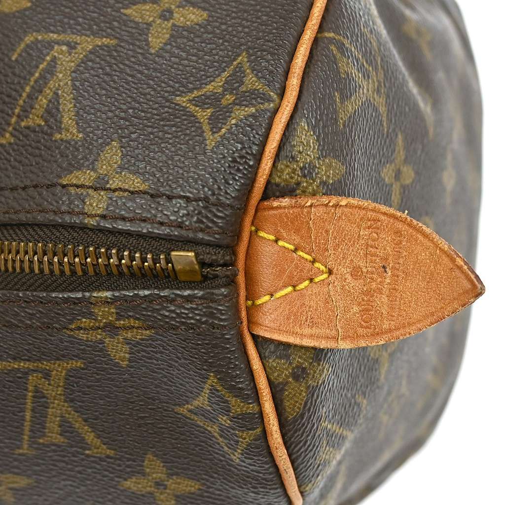 Louis Vuitton Speedy Handbag Brown Canvas Good condition - Model View