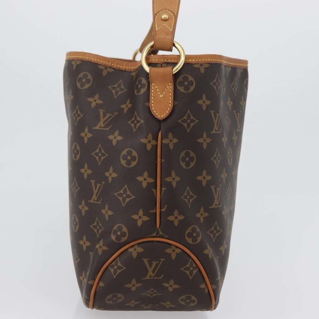 Louis Vuitton Delightful Handbag Brown Canvas Good condition - Model View