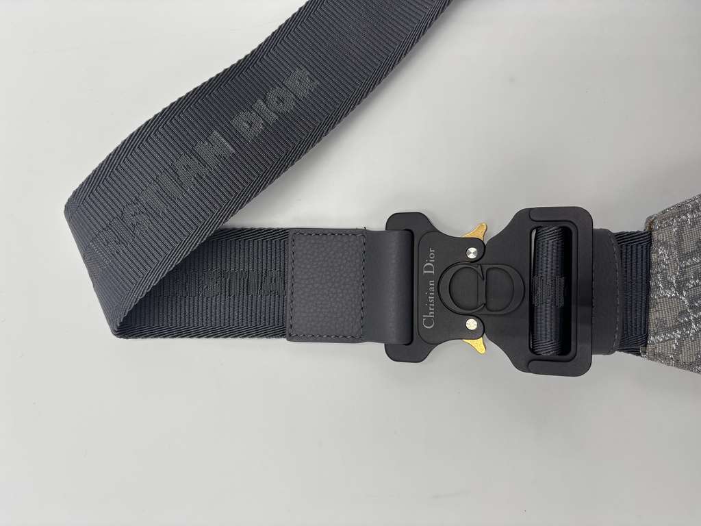 Christian Dior Saddle Crossbody Bag Other Canvas Very good condition - Model View