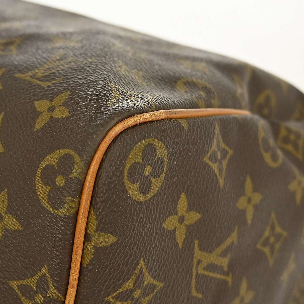 Louis Vuitton Speedy Handbag Brown Canvas Good condition - Model View