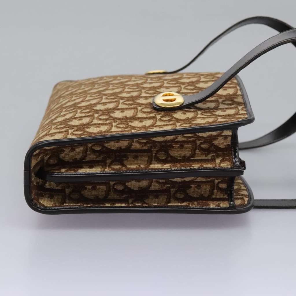 Christian Dior Trotter Brown Canvas Good condition - Model View