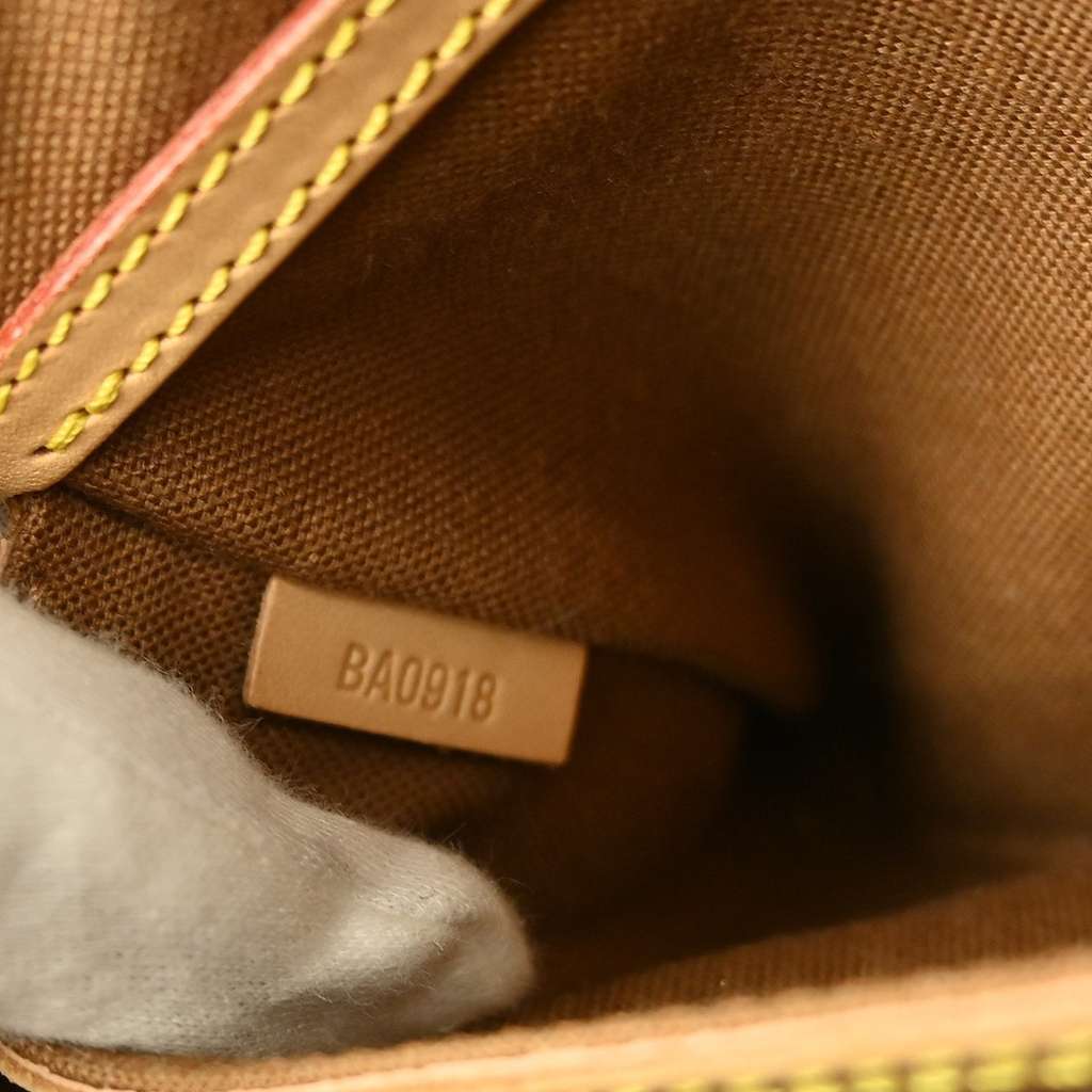 Louis Vuitton Alma Handbag Brown Canvas Fair condition - Model View