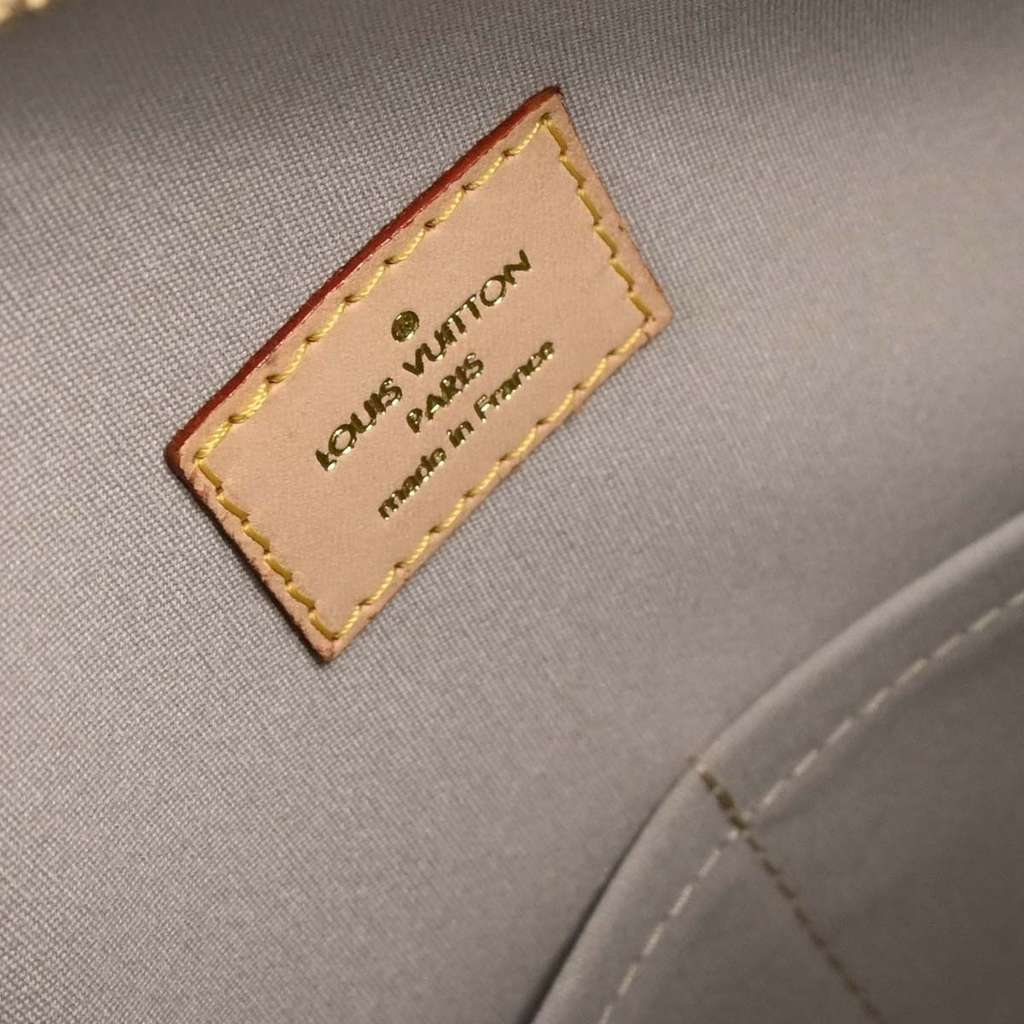 Louis Vuitton Speedy Handbag Gold Canvas Good condition - Model View