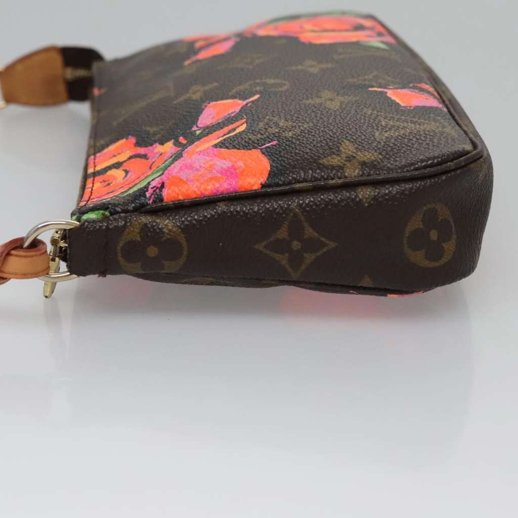 Louis Vuitton Pochette Accessoires Other Canvas Good condition - Model View