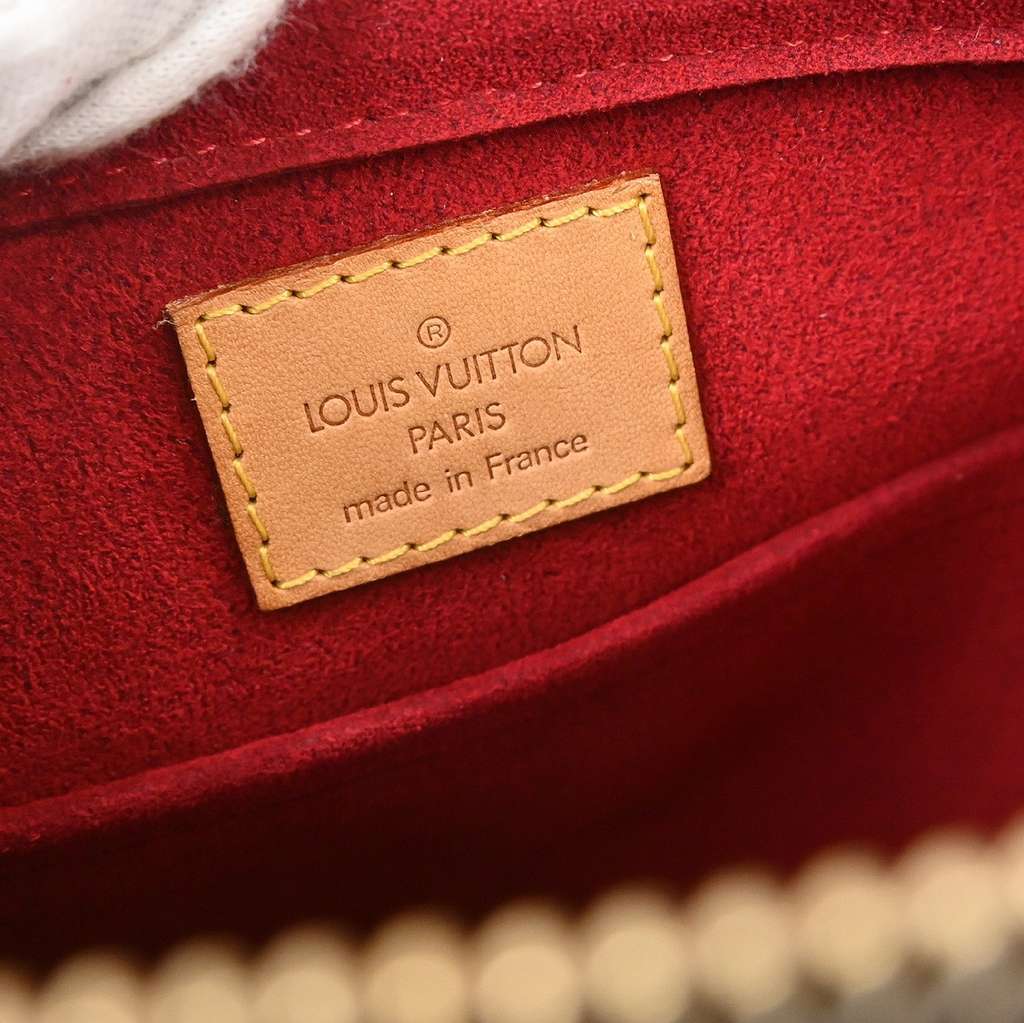 Louis Vuitton Viva Cite Handbag Brown Canvas Good condition - Model View