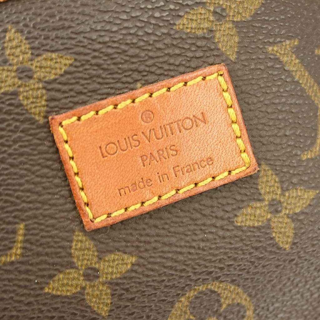 Louis Vuitton Saumur Handbag Brown Canvas Fair condition - Model View