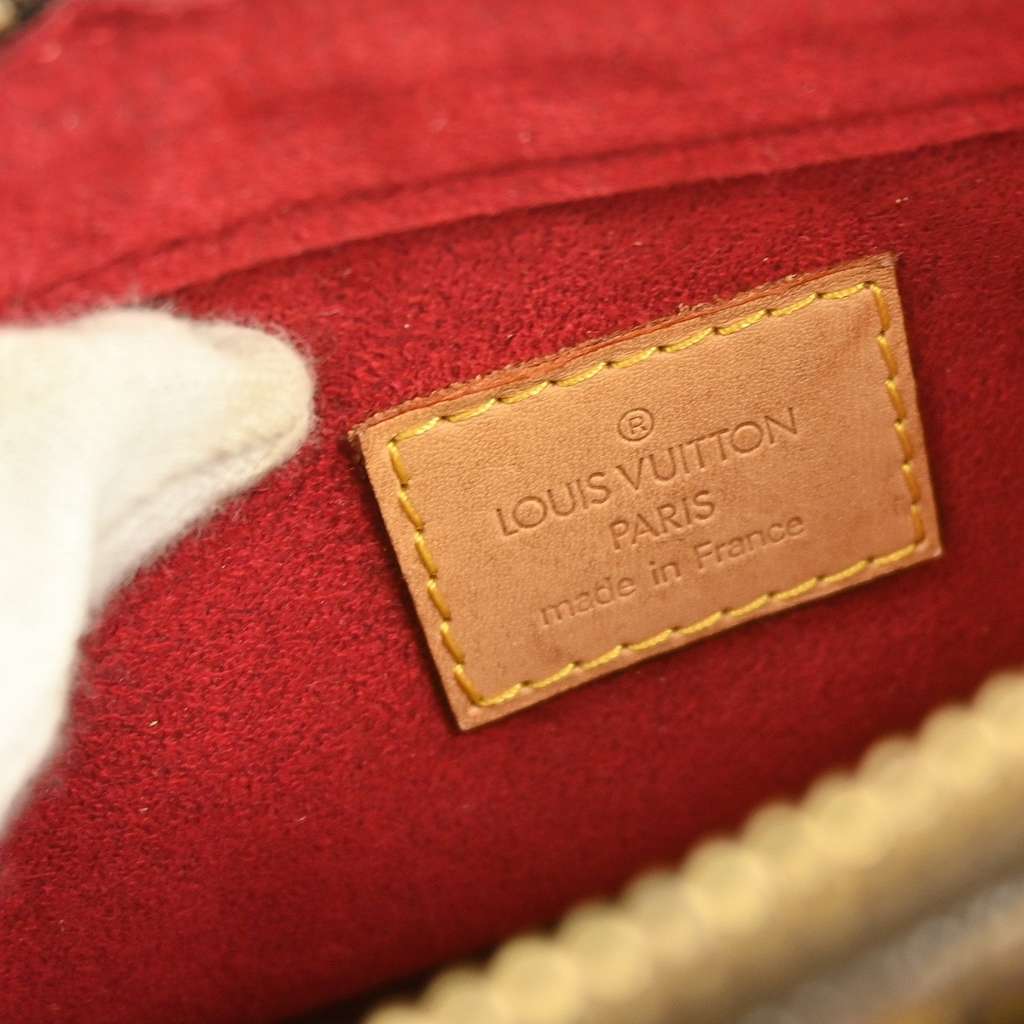 Louis Vuitton Viva Cite Handbag Brown Canvas Good condition - Model View