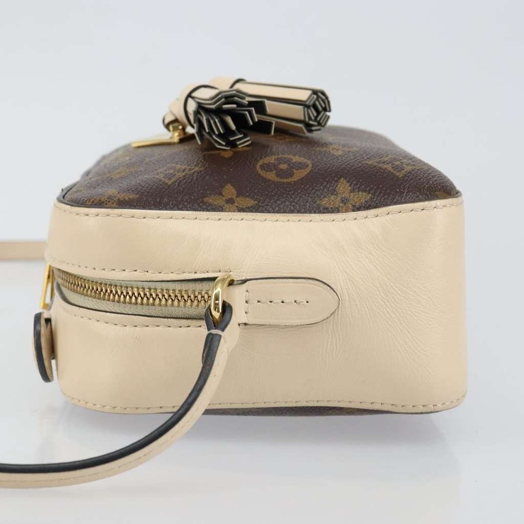 Louis Vuitton Saintonge Handbag Brown Canvas Good condition - Model View