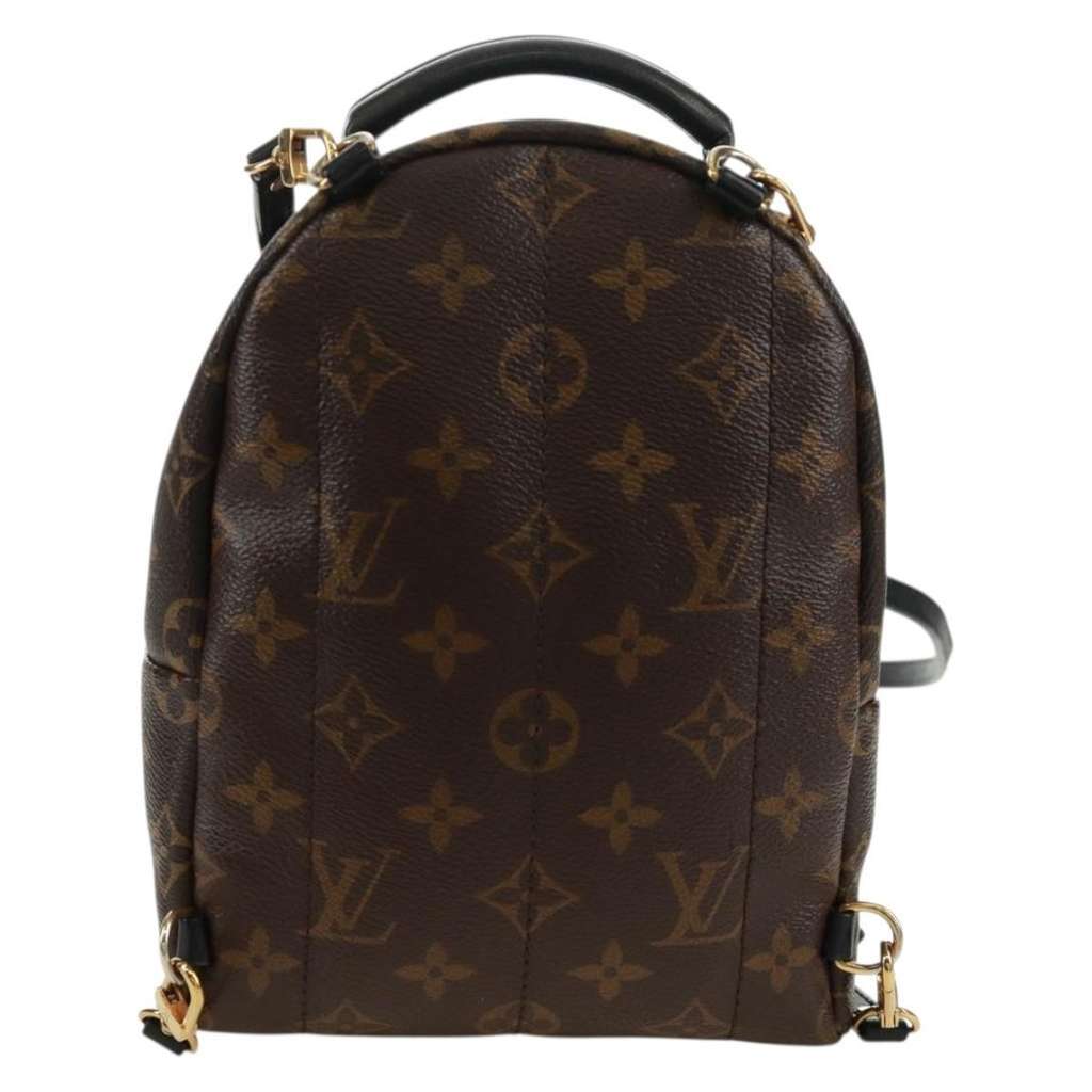Louis Vuitton Palm Springs Backpack Brown Canvas Good condition - Back View