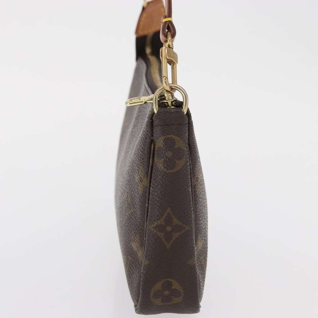 Louis Vuitton Pochette Accessoires NM Brown Canvas Good condition - Model View