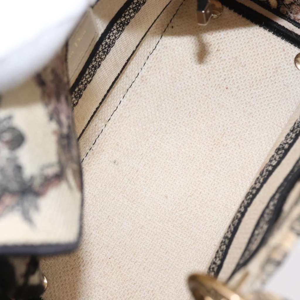 Christian Dior Lady D-Lite Bag Other Canvas Good condition - Box View