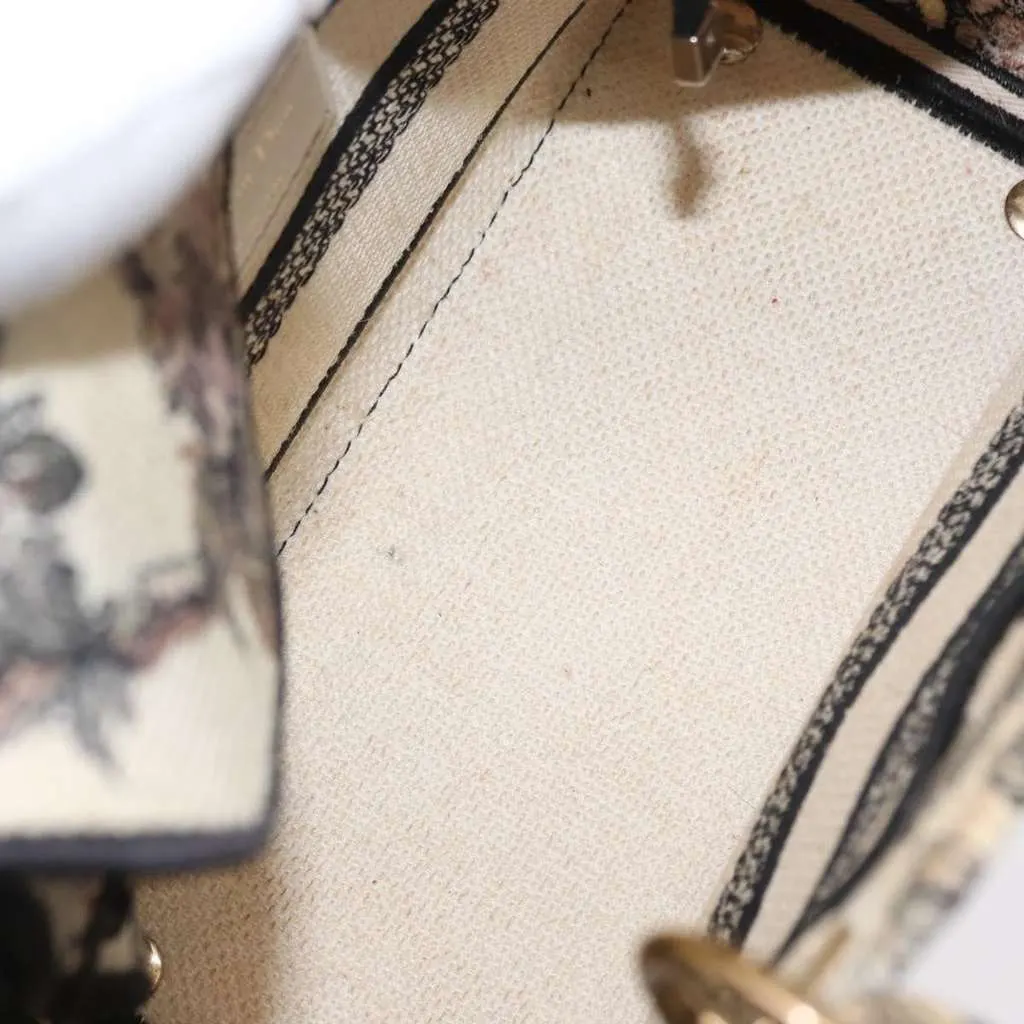 Dior Lady D-Lite Bag Beige Canvas Good - Box View