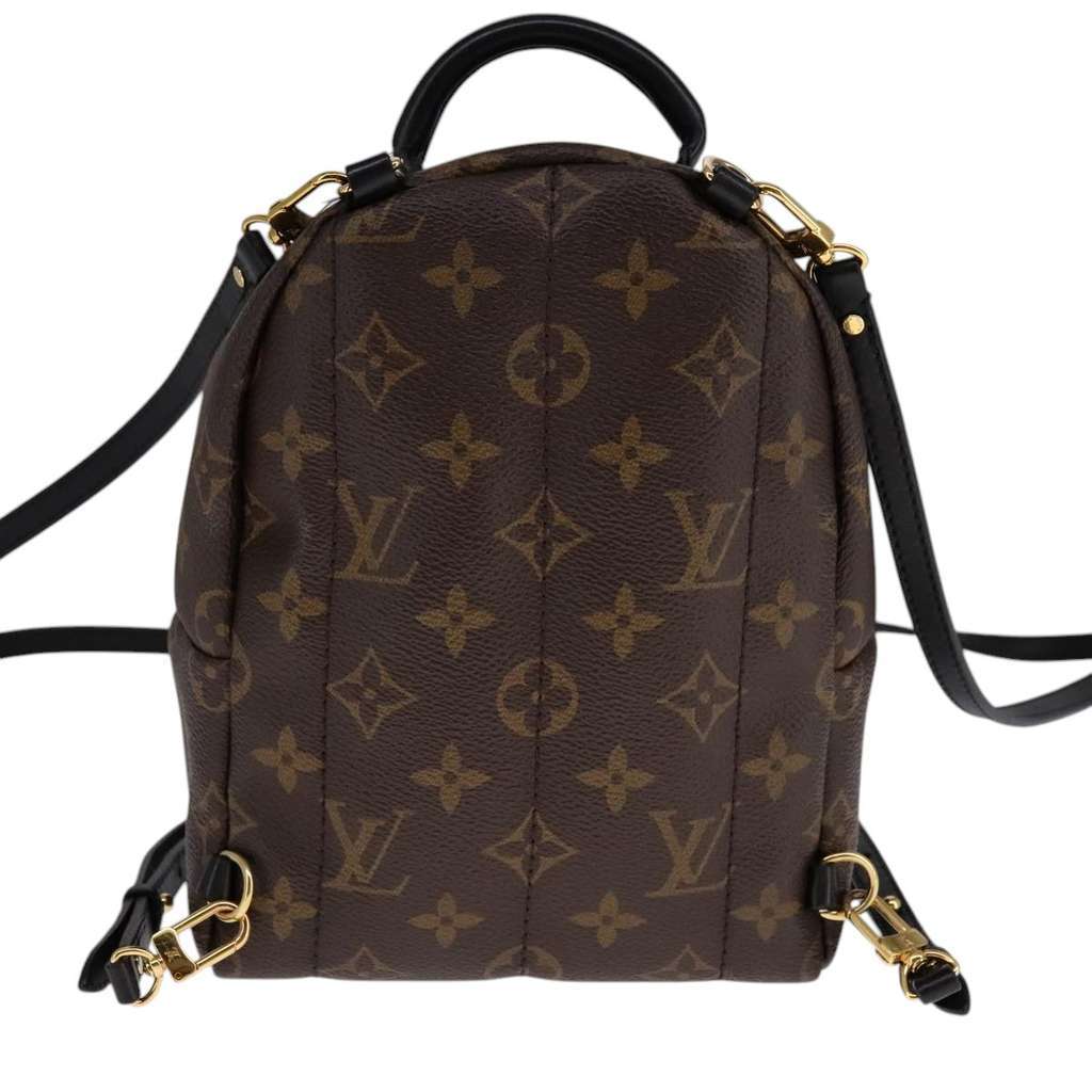 Louis Vuitton Palm Springs Backpack Brown Canvas Good condition - Back View