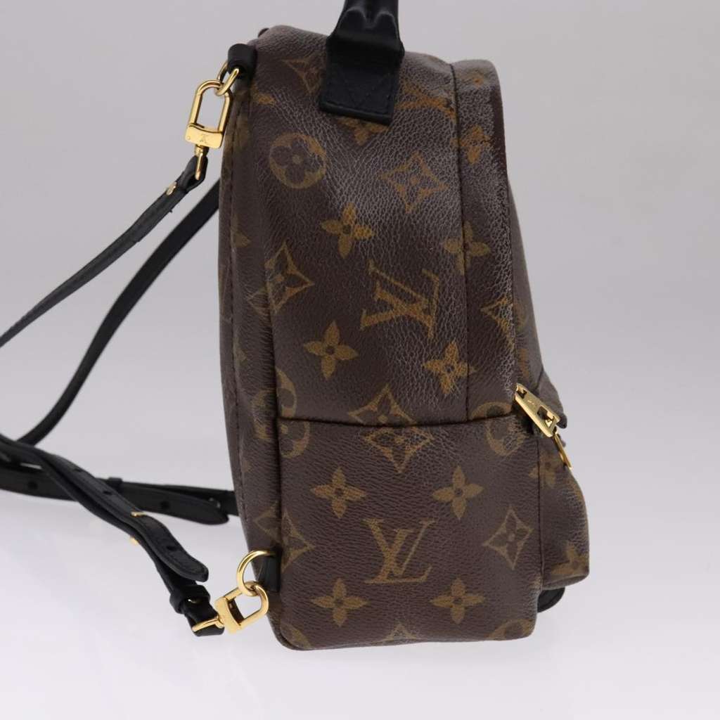 Louis Vuitton Palm Springs Backpack Brown Canvas Good condition - Inside View