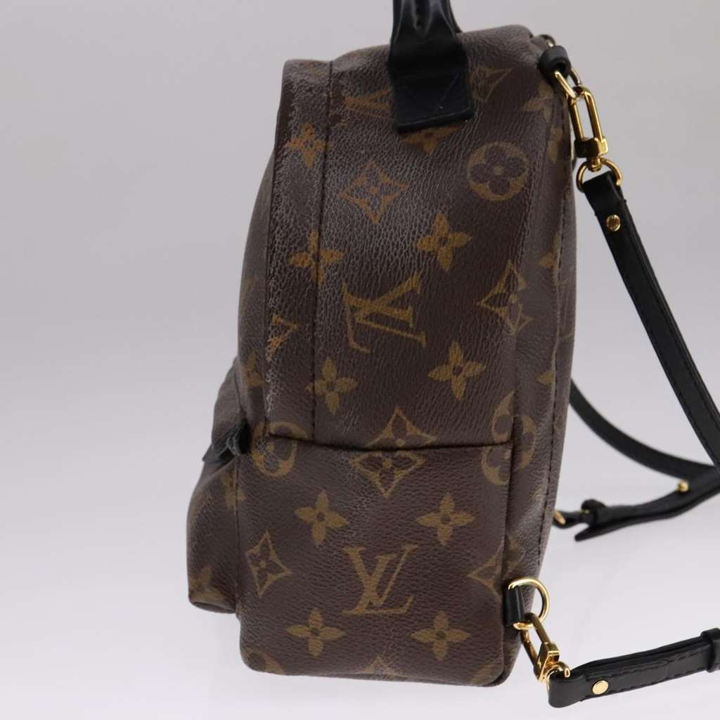 Louis Vuitton Palm Springs Backpack Brown Canvas Good condition - Model View
