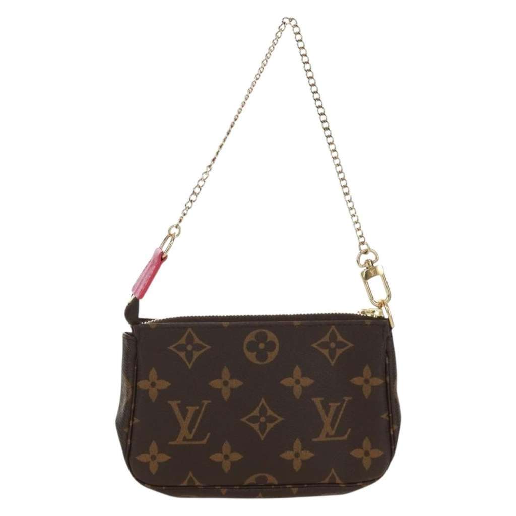 Louis Vuitton Pochette Accessoires Other Canvas Very good condition - Back View