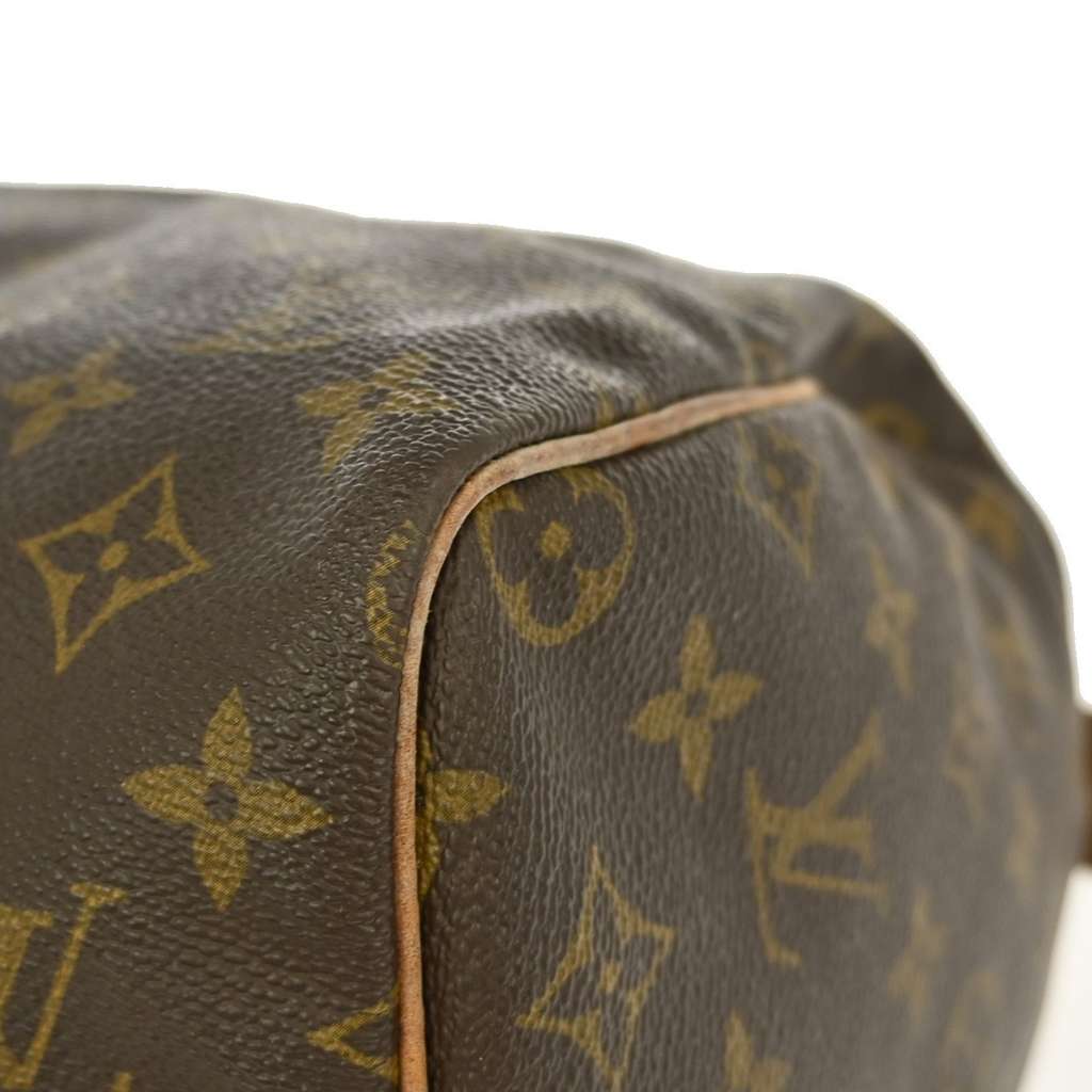Louis Vuitton Speedy Handbag Brown Good condition - Model View