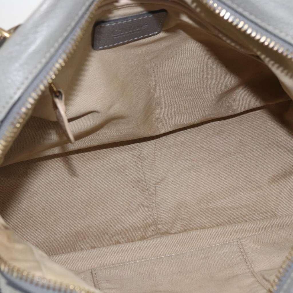 Chloe Paraty Top Handle Bag Other Leather Fair condition - Box View