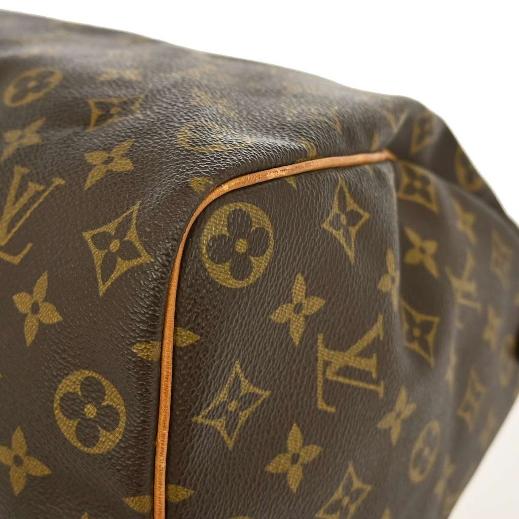Louis Vuitton Speedy Handbag Brown Canvas Good condition - Model View