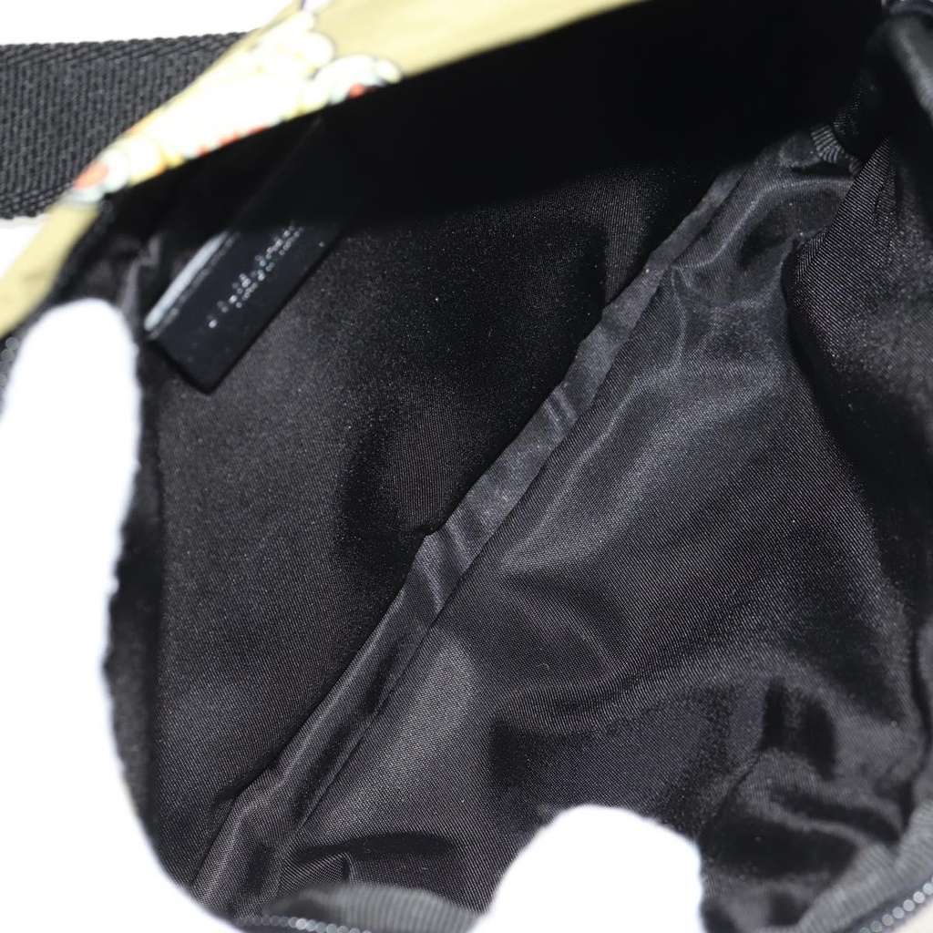 Dolce & Gabbana Logo Waist Bag Khaki Good condition - Box View