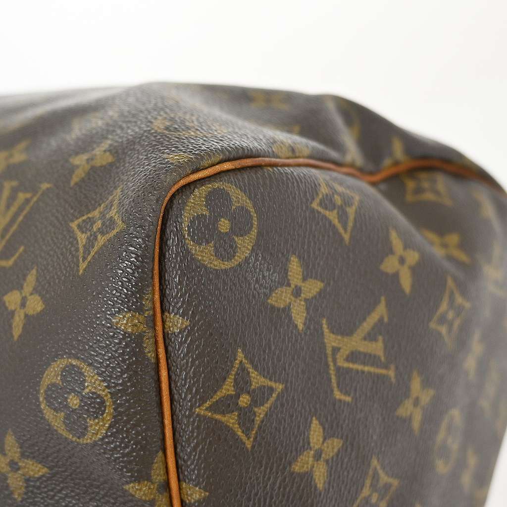 Louis Vuitton Speedy Handbag Brown Canvas Fair condition - Model View