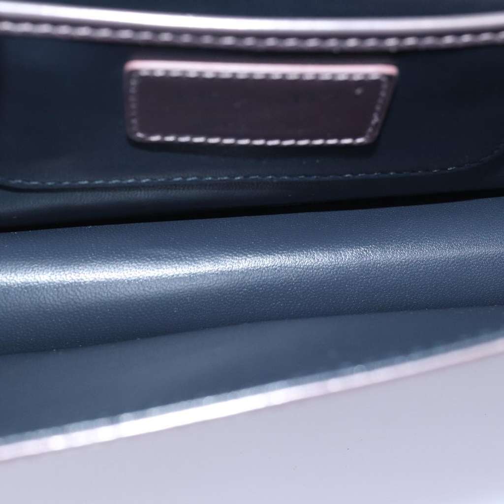 Christian Dior Lady Dior Croisiere Chain Wallet Pink Leather Good condition - Box View