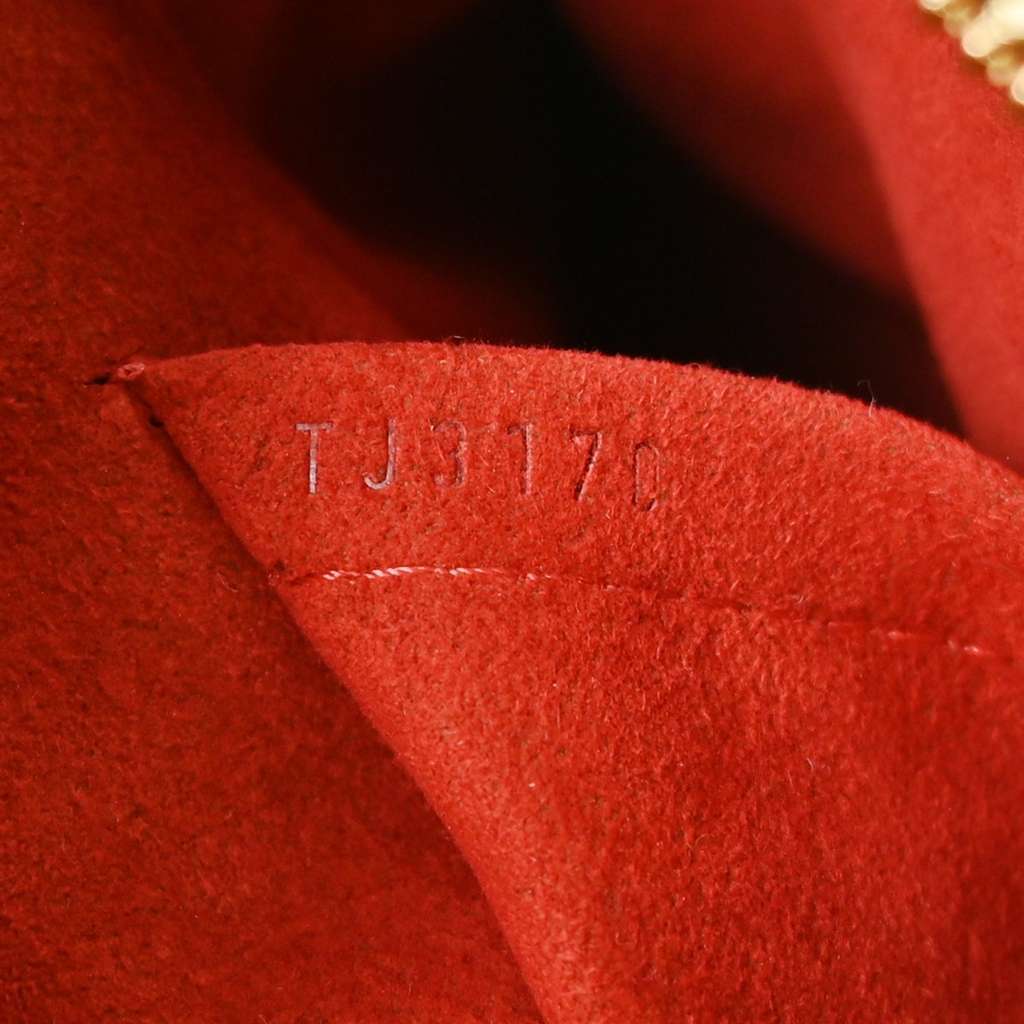 Louis Vuitton Trevi Handbag Brown Canvas Good condition - Box View