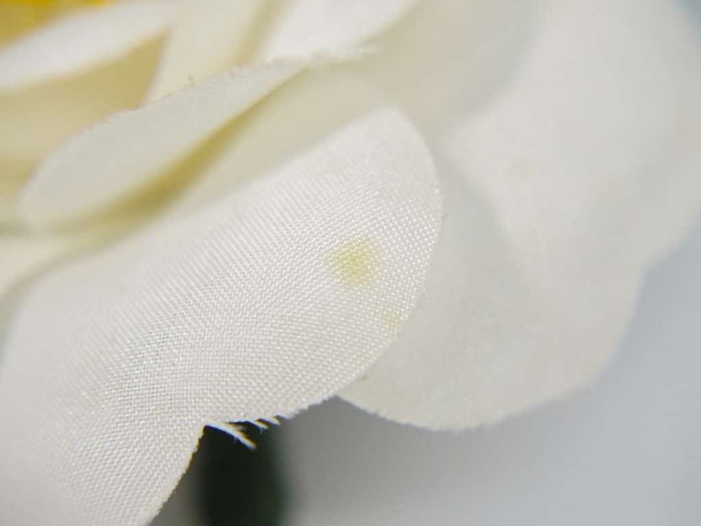 Chanel CC Camellia Brooch White Good condition - Box View