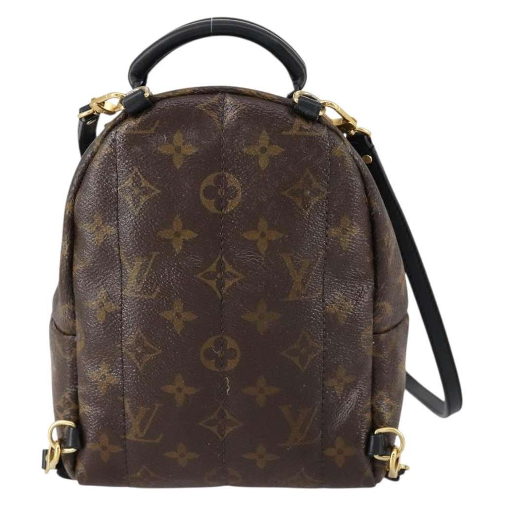 Louis Vuitton Palm Springs Backpack Brown Canvas Good condition - Back View