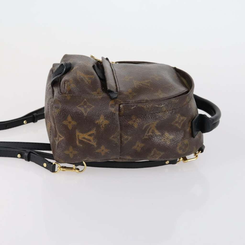 Louis Vuitton Palm Springs Backpack Brown Canvas Good condition - Inside View