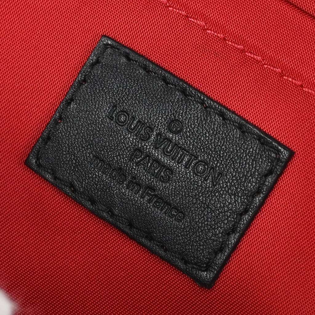 Louis Vuitton Palm Springs Backpack Brown Canvas Good condition - Model View