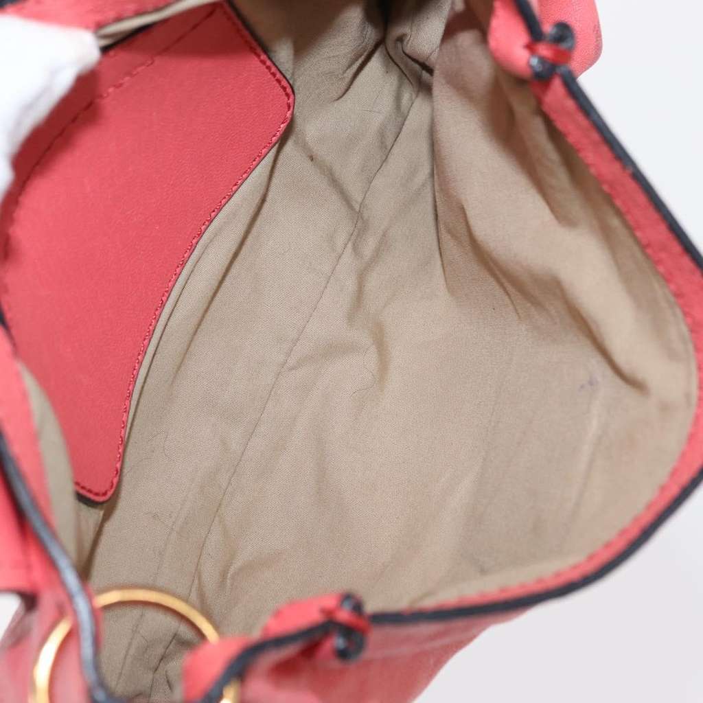 Chloe Elsie Crossbody Bag Pink Leather Good condition - Box View