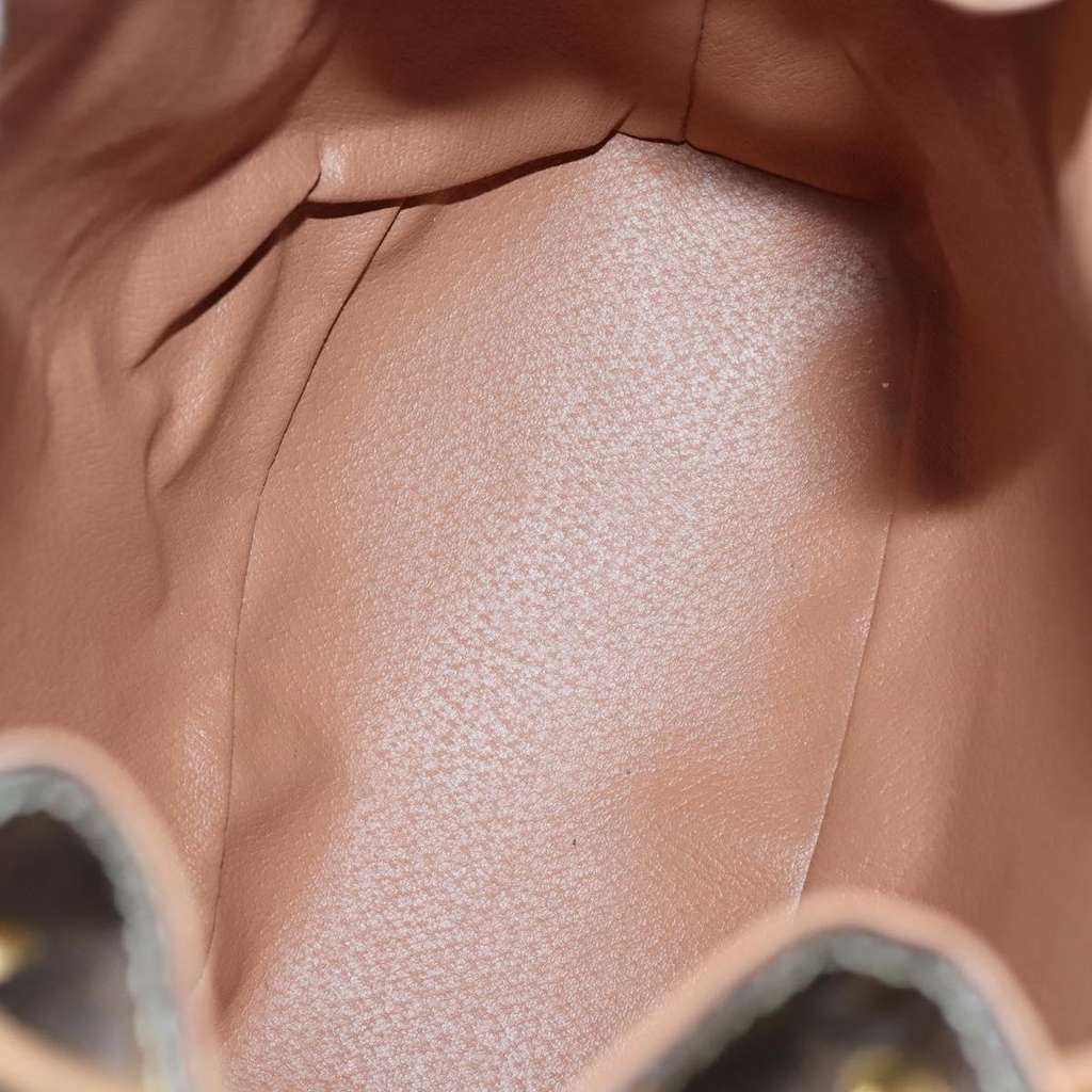 Celine Vintage Drawstring Flap Backpack Brown Canvas Good condition - Box View