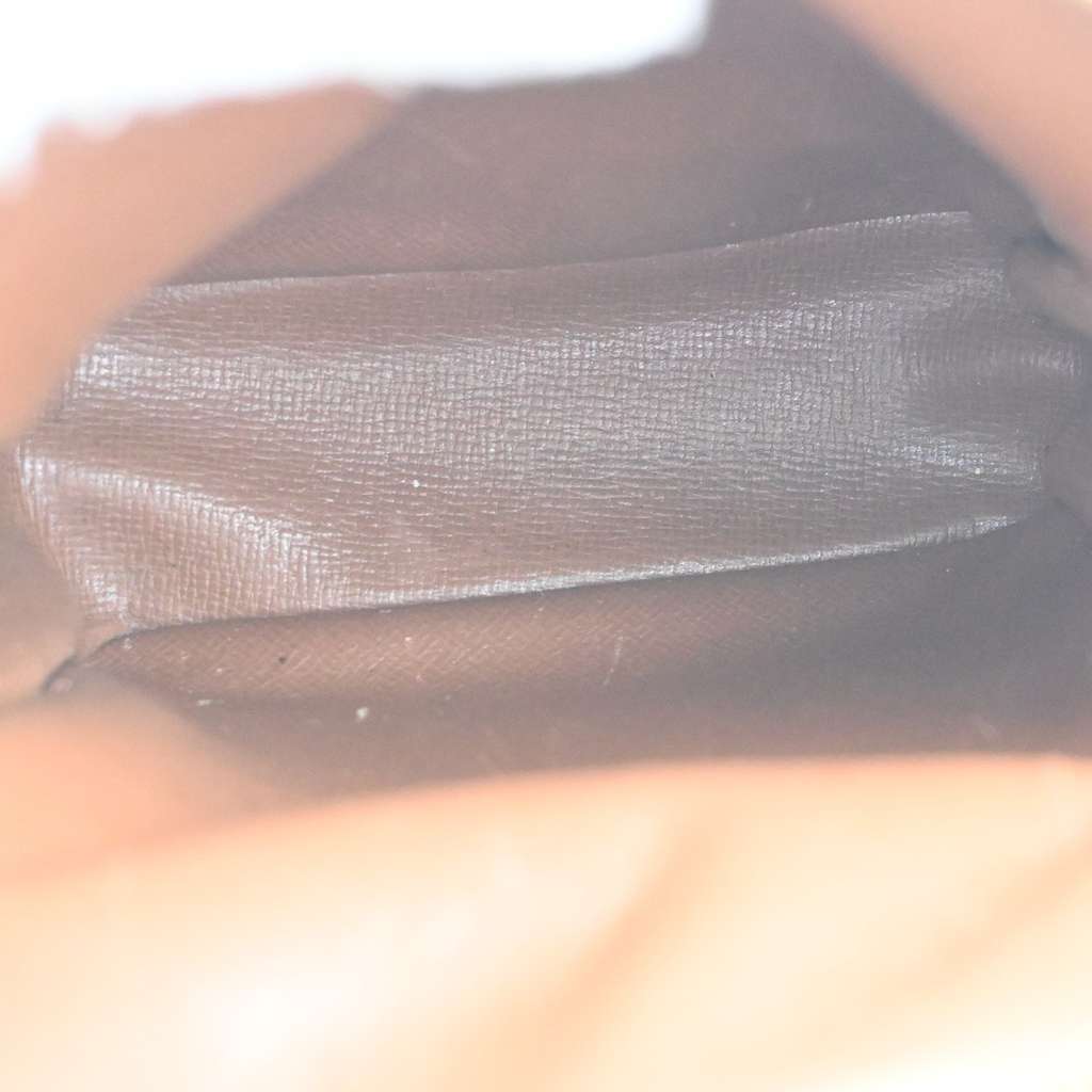 Louis Vuitton Amazone Bag Brown Canvas Good condition - Box View