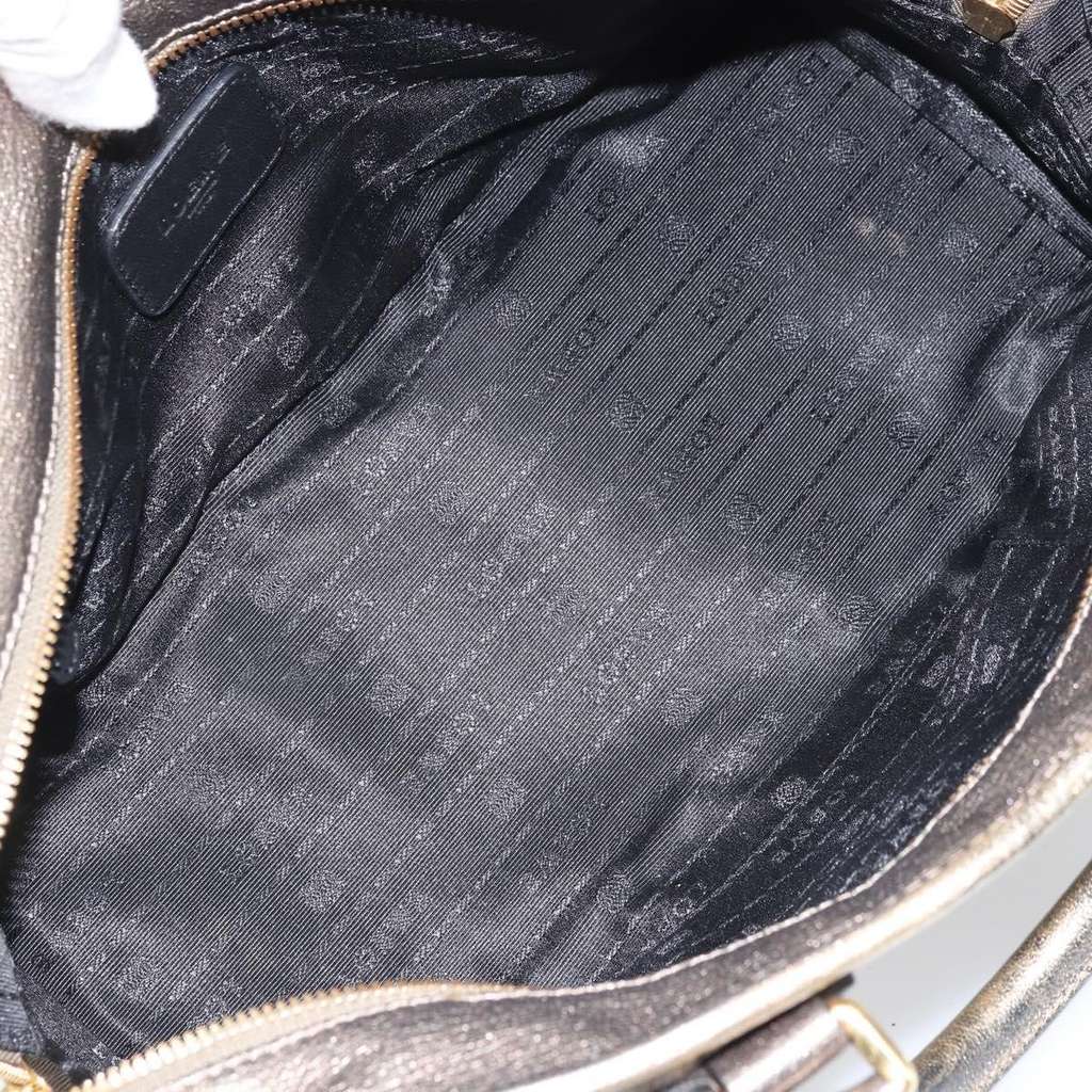 Loewe Amazona Bag Gold Leather Fair condition - Box View