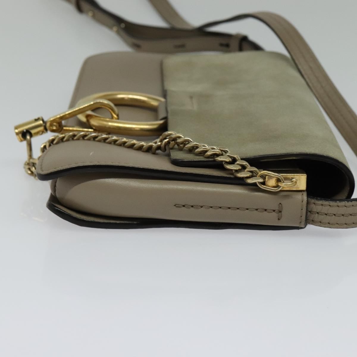 Chloe Faye Crossbody Other Suede Good condition - Model View