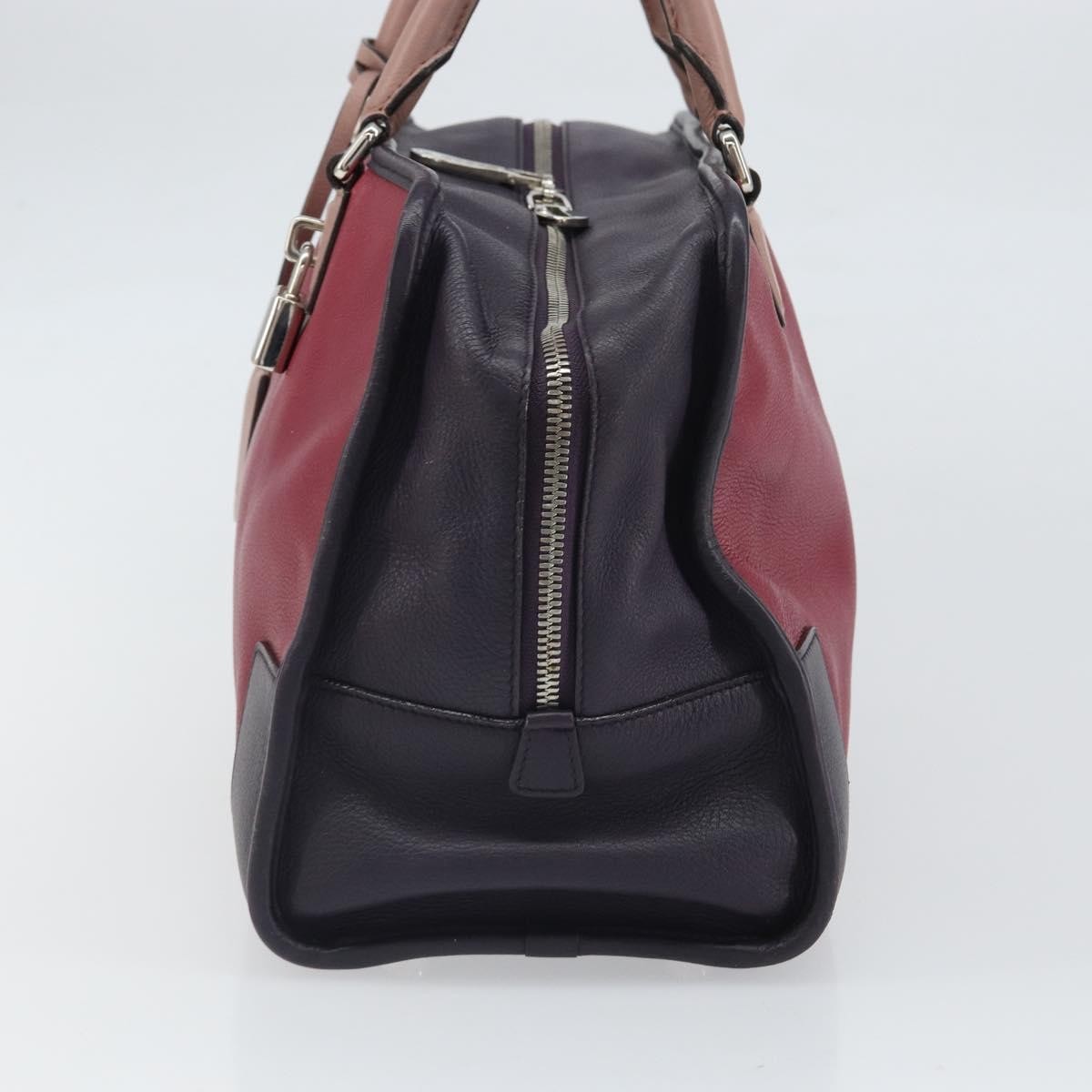 Loewe Amazona Bag Red Leather Good condition - Model View