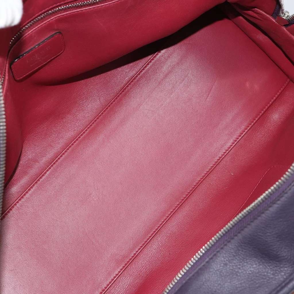 Loewe Amazona Bag Red Leather Good condition - Box View