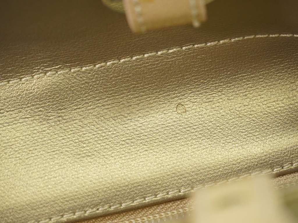 Chanel Biarritz Tote Metallic Canvas Good condition - Model View