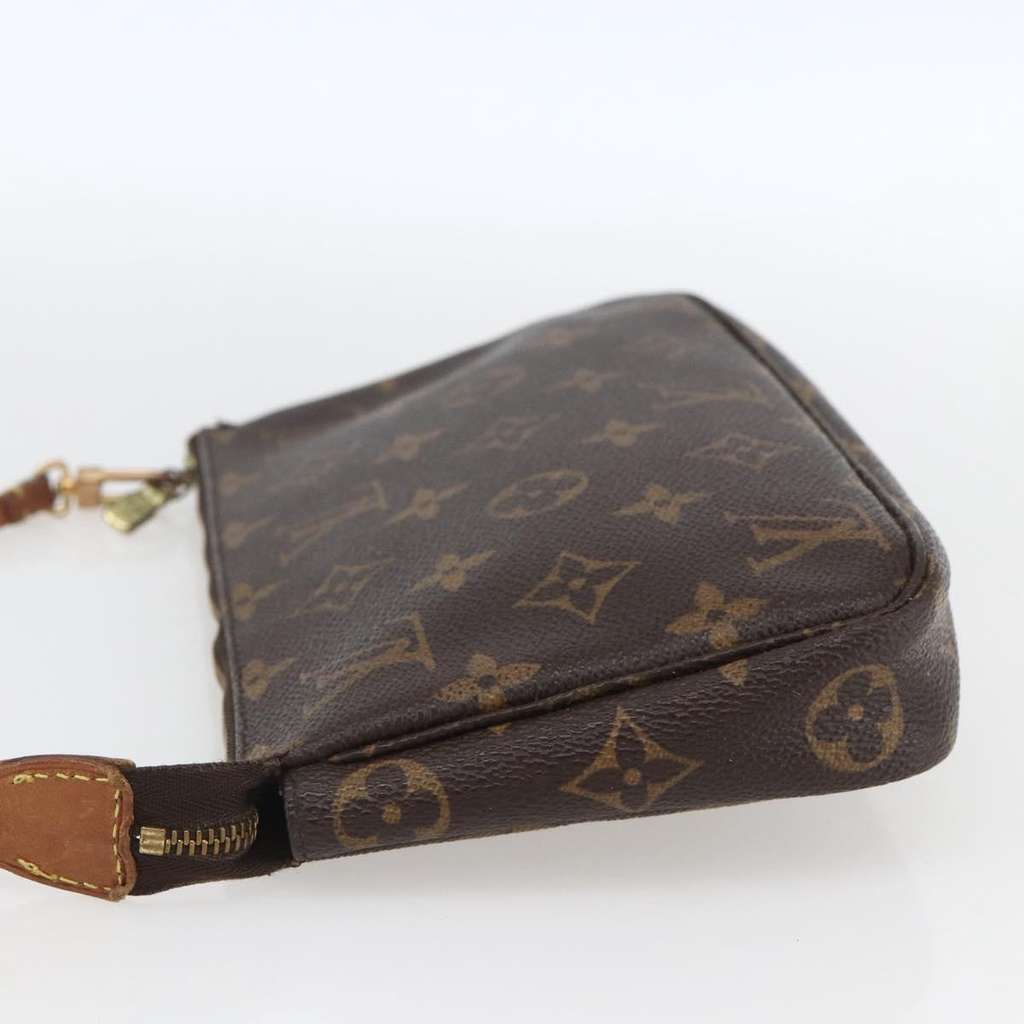 Louis Vuitton Pochette Accessoires NM Brown Canvas Good condition - Model View