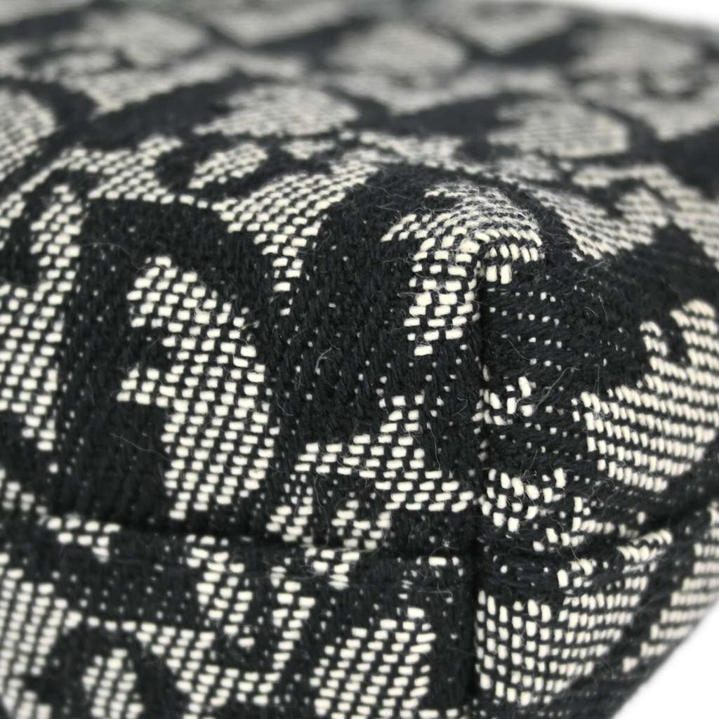 Christian Dior Vintage Trotter Pouch Other Canvas Good condition - Box View