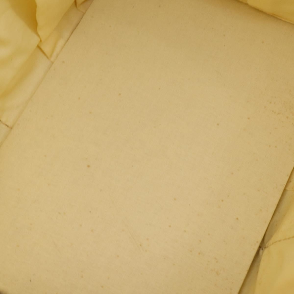 Louis Vuitton Dog Carrier Bag Brown Canvas Good condition - Box View