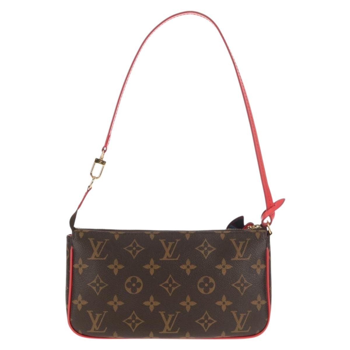 Louis Vuitton Pochette Accessoires NM Brown Canvas Good condition - Back View