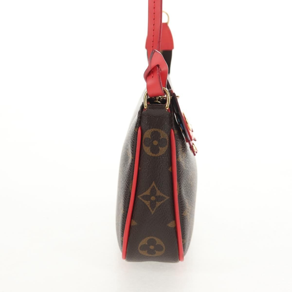 Louis Vuitton Pochette Accessoires NM Brown Canvas Good condition - Model View