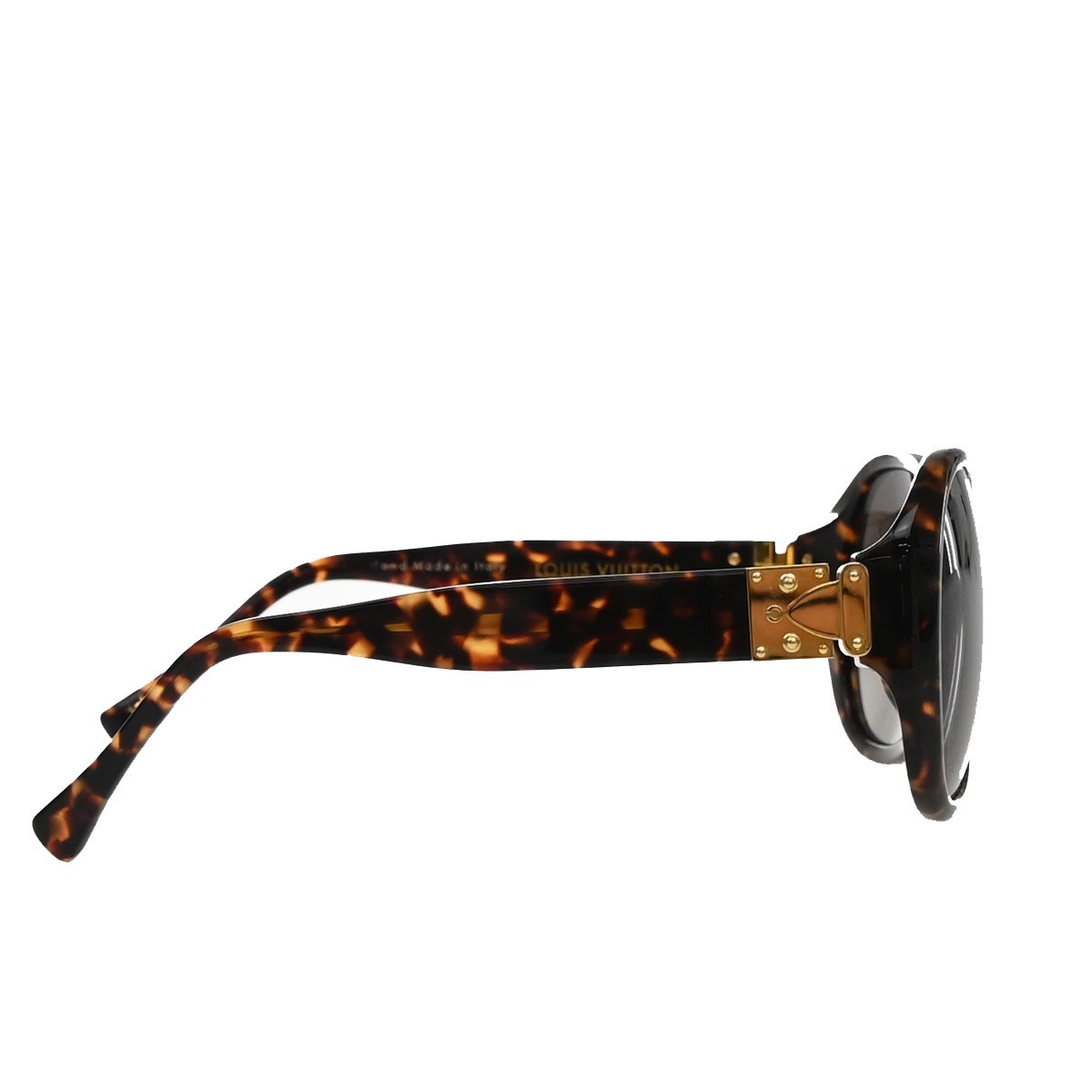 Louis Vuitton Eye Wear Brown Good condition - Model View