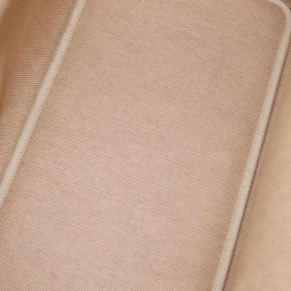 Hermès Sac de Transport pour Chiens Pet Dog Carrier Beige Canvas Good condition - Box View