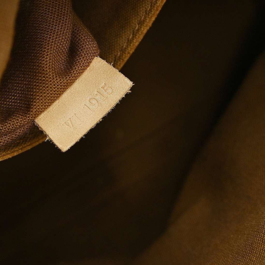 Louis Vuitton Alma Handbag Brown Canvas Fair condition - Model View