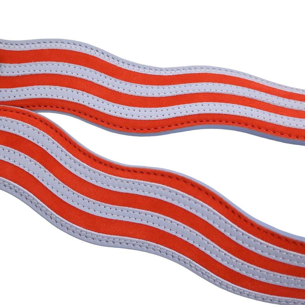 Fendi Strap You Shoulder Strap Other Leather Good condition - Box View