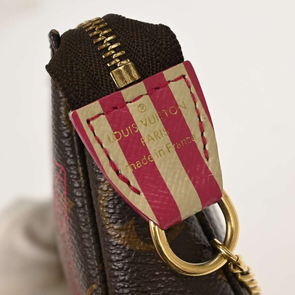 Louis Vuitton Pochette Accessoires Brown Canvas Good condition - Box View